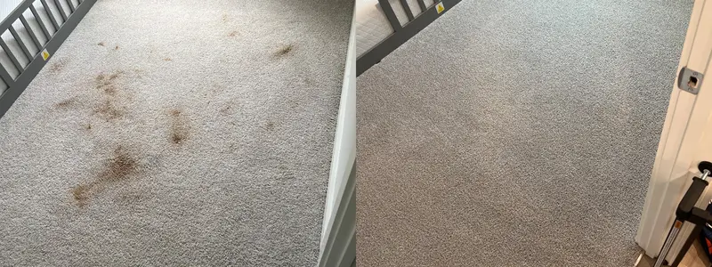 Before and after from a real carpet cleaning job (44)