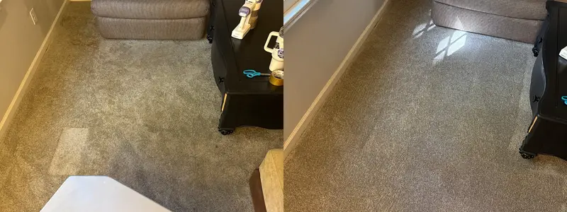 Before and after from a real carpet cleaning job (49)